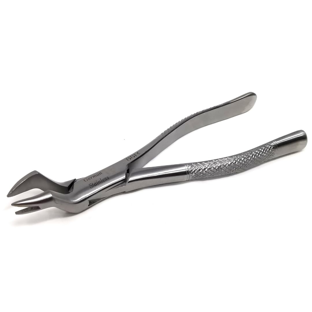 Amazon.com: IMEDS Dental Extracting Forceps #88R with Right
